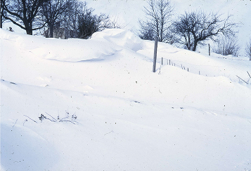 1968
