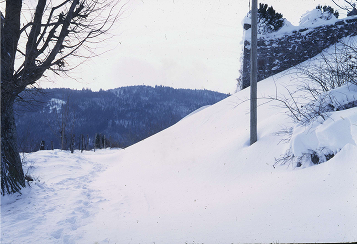 1958