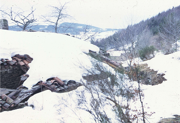 1968